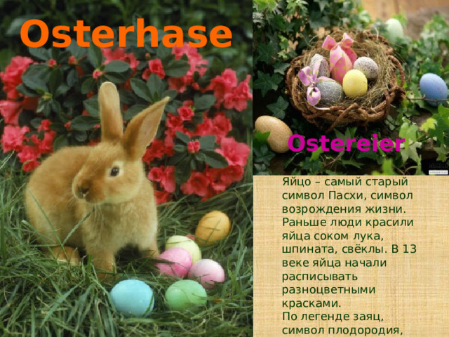 Osterhase Ostereier Яйцо – самый старый символ Пасхи, символ возрождения жизни. Раньше люди красили яйца соком лука, шпината, свёклы. В 13 веке яйца начали расписывать разноцветными красками. По легенде заяц, символ плодородия, приносит яйца в сад и прячет их там в гнёздах из травы. 