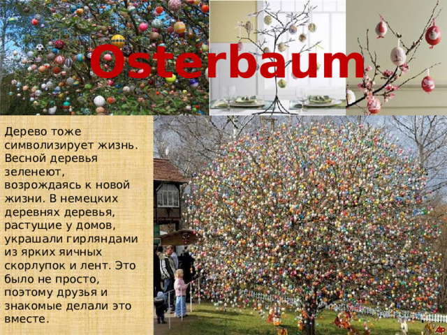 Osterbaum Дерево тоже символизирует жизнь. Весной деревья зеленеют, возрождаясь к новой жизни. В немецких деревнях деревья, растущие у домов, украшали гирляндами из ярких яичных скорлупок и лент. Это было не просто, поэтому друзья и знакомые делали это вместе. 