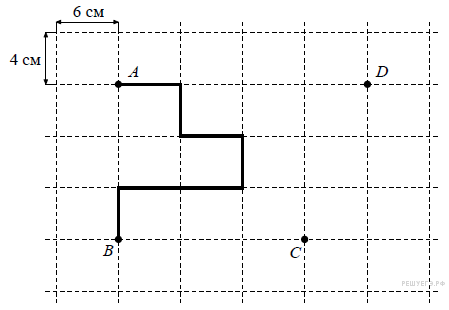 Найти длину стороны по точкам. Лист бумаги расчерчен на прямоугольники со сторонами. Лист бумаги расчерчен на прямоугольники со сторонами 6 см. Лист бумаги расчерчен на прямоугольники со сторонами 4 см и 6 см. Лист бумаги расчерчен на прямоугольники со сторонами 4 см.