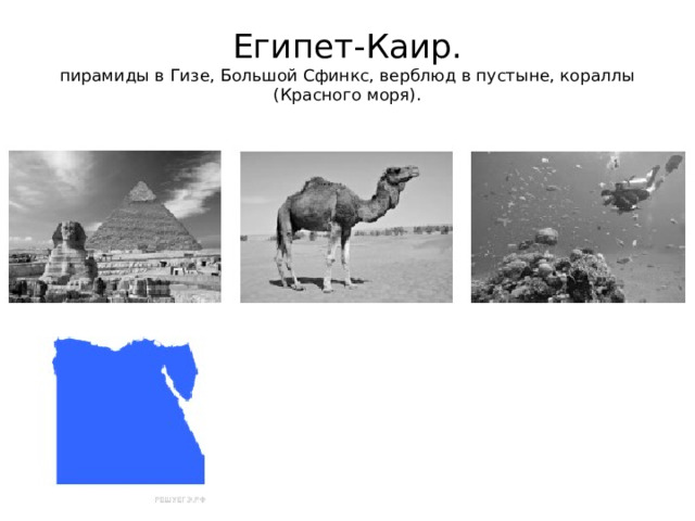 Египет-Каир.  пирамиды в Гизе, Большой Сфинкс, верблюд в пустыне, кораллы (Красного моря). 