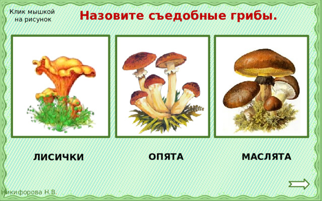  Назовите съедобные грибы. Клик мышкой на рисунок ОПЯТА МАСЛЯТА ЛИСИЧКИ 