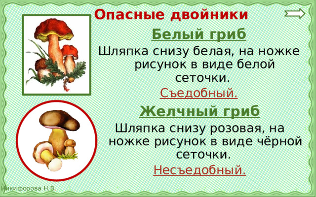 Опасные двойники Белый гриб Шляпка снизу белая, на ножке рисунок в виде белой сеточки. Съедобный.  Желчный гриб Шляпка снизу розовая, на ножке рисунок в виде чёрной сеточки. Несъедобный.  