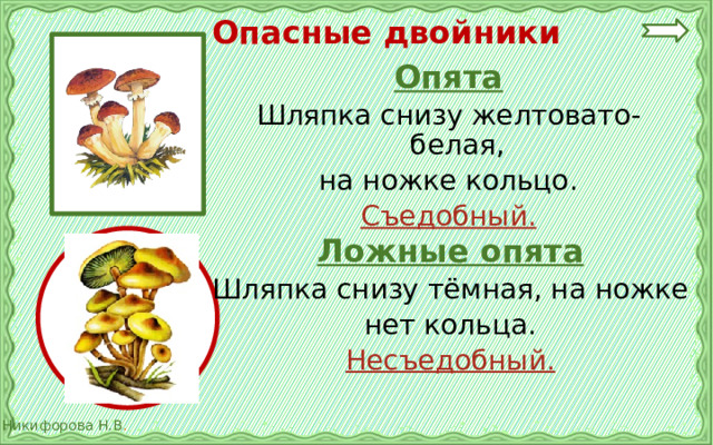 Опасные двойники Опята Шляпка снизу желтовато-белая, на ножке кольцо. Съедобный.  Ложные опята Шляпка снизу тёмная, на ножке нет кольца. Несъедобный.  