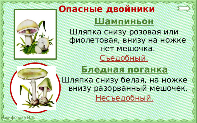 Опасные двойники Шампиньон Шляпка снизу розовая или фиолетовая, внизу на ножке нет мешочка. Съедобный.  Бледная поганка Шляпка снизу белая, на ножке внизу разорванный мешочек. Несъедобный.  