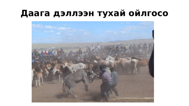 Даага дэллээн тухай ойлгосо 