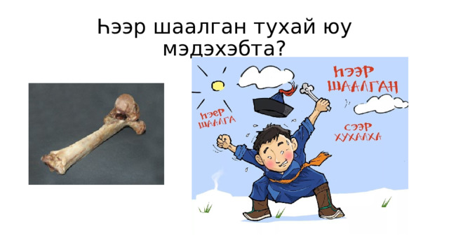 Һээр шаалган тухай юу мэдэхэбта? 