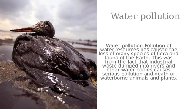 Water pollution Water pollution.Pollution of water resources has caused the loss of many species of flora and fauna of the Earth. This was from the fact that industrial waste dumped into rivers and other water bodies causes serious pollution and death of waterborne animals and plants.  