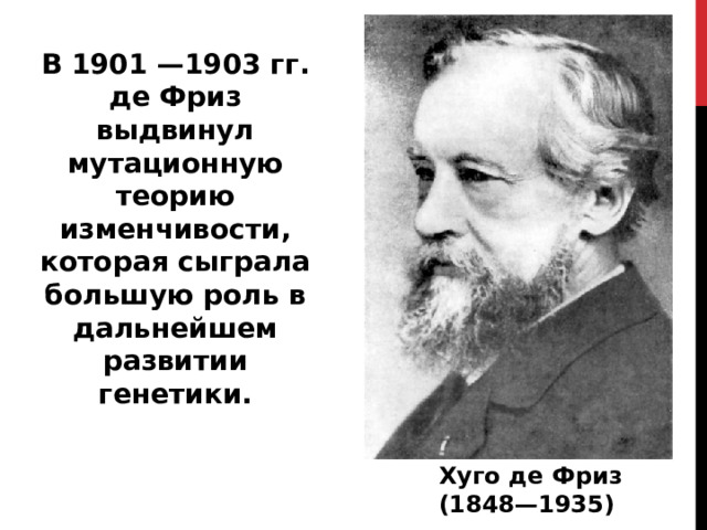 В 1901 —1903 гг. де Фриз выдвинул мутационную теорию изменчивости, которая сыграла большую роль в дальнейшем развитии генетики.   Хуго де Фриз (1848—1935) 