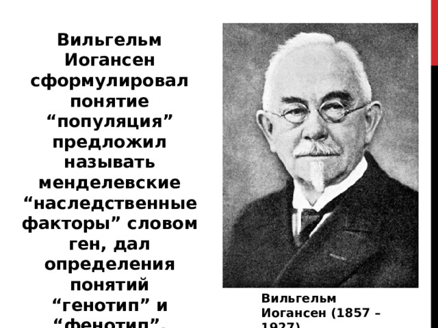 Вильгельм Иогансен сформулировал понятие “популяция” предложил называть менделевские “наследственные факторы” словом ген, дал определения понятий “генотип” и “фенотип”.   Вильгельм Иогансен (1857 – 1927)   