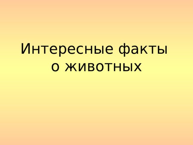 Интересные факты  о животных 