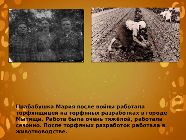 Прабабушка Мария после войны работала торфянщицей на торфяных разработках в городе Мытищи. Работа была очень тяжёлой, работали сезонно. После торфяных разработок работала в животноводстве. 
