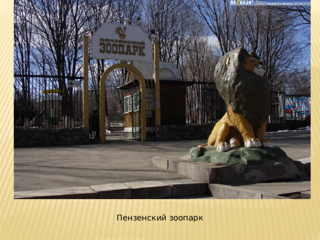 Пензенский зоопарк 