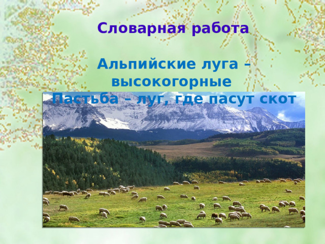 Словарная работа Альпийские луга – высокогорные Пастьба – луг, где пасут скот 