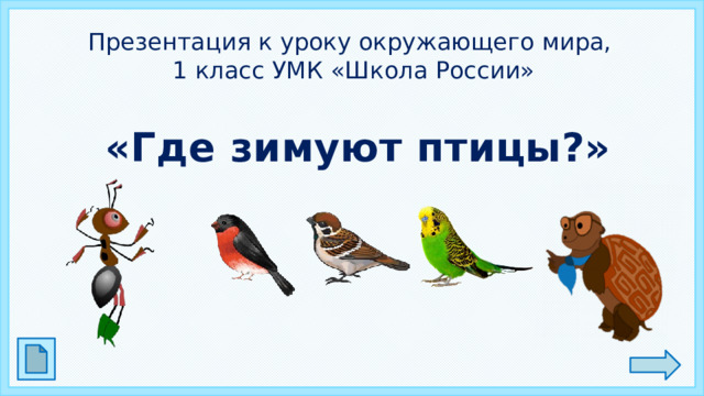 Презентация окружающий мир 1 класс где зимуют птицы школа россии 1 класс