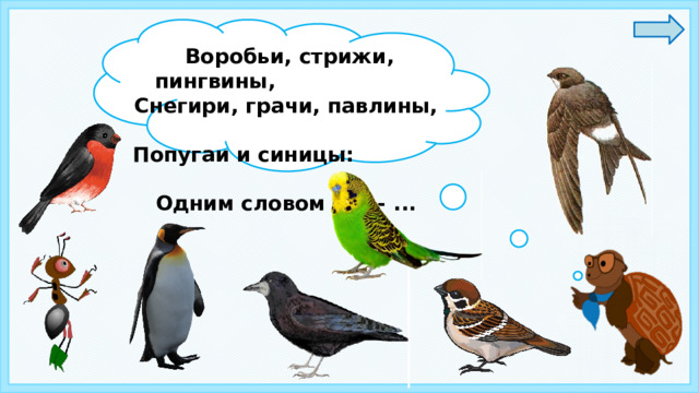 Воробьи, стрижи, пингвины, Снегири, грачи, павлины, Попугаи и синицы: Одним словом это - ... 