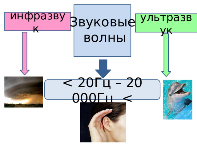 Ультразвук картинки для презентации. Инфразвук картинки для презентации. Ультразвук картина. Тональный инфразвук картинки.