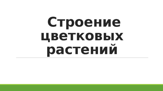  Строение цветковых растений 