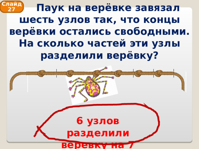  Паук на верёвке завязал шесть узлов так, что концы верёвки остались свободными. На сколько частей эти узлы разделили верёвку? Слайд 27 6 узлов разделили веревку на 7 частей 