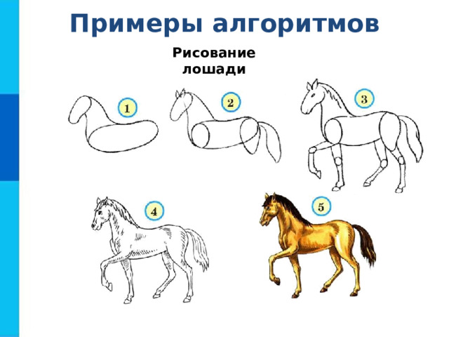 Примеры алгоритмов Рисование лошади  