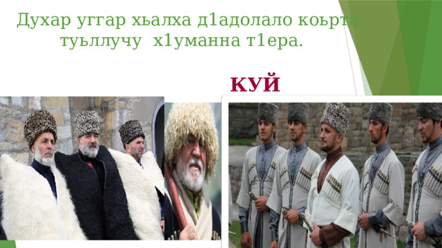 Духар уггар хьалха д1адолало коьрта туьллучу х1уманна т1ера. КУЙ