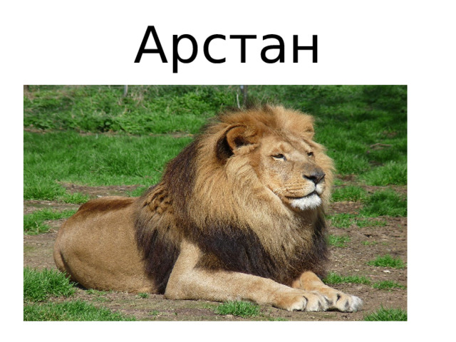 Арстан 