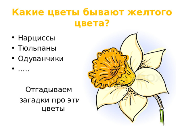 Какие цветы бывают желтого цвета? Нарциссы Тюльпаны Одуванчики … .. Отгадываем загадки про эти цветы 