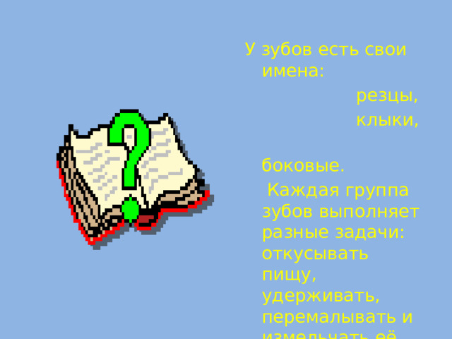 У зубов есть свои имена:  резцы,  клыки,  боковые.  Каждая группа зубов выполняет разные задачи: откусывать пищу, удерживать, перемалывать и измельчать её.  