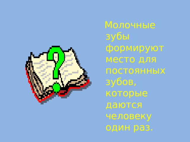  Молочные зубы формируют место для постоянных зубов, которые даются человеку один раз.  