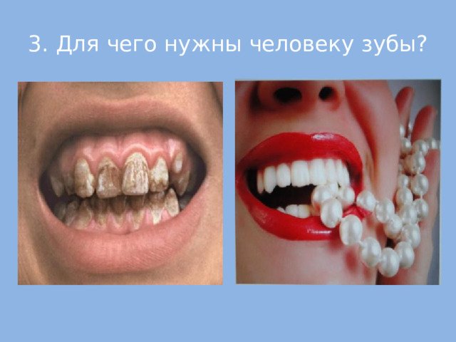 3. Для чего нужны человеку зубы?  