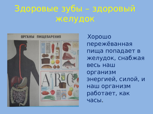 Здоровые зубы – здоровый желудок  Хорошо пережёванная пища попадает в желудок, снабжая весь наш организм энергией, силой, и наш организм работает, как часы .  