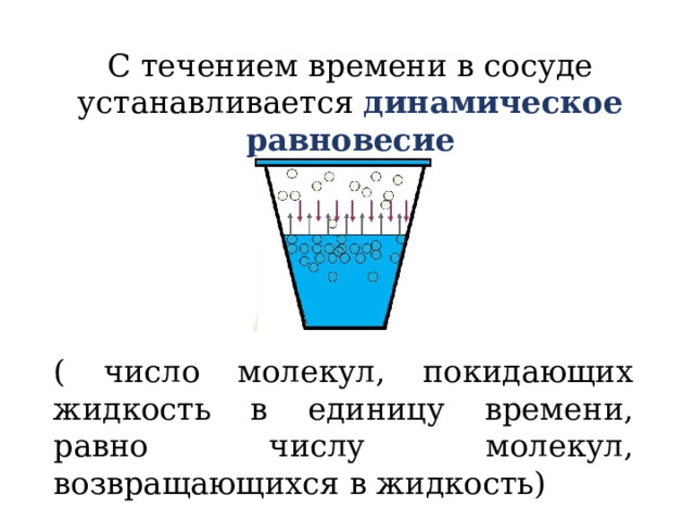 С течением времени в сосуде устанавливается динамическое равновесие ( число молекул, покидающих жидкость в единицу времени, равно числу молекул, возвращающихся в жидкость) 