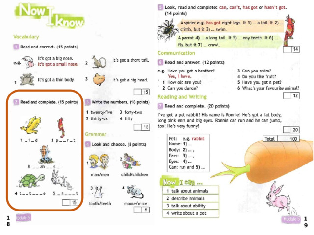 Spotlight 3 module 3 now i know презентация