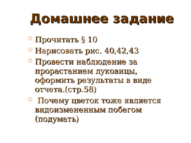 Домашнее задание Прочитать § 10 Нарисовать рис. 40,42,43 Провести наблюдение за прорастанием луковицы, оформить результаты в виде отчета.(стр.58)  Почему цветок тоже является видоизмененным побегом (подумать) 