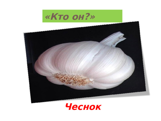 «Кто он?» Чеснок 