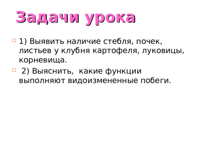Задачи урока 1) Выявить наличие стебля, почек, листьев у клубня картофеля, луковицы, корневища.  2) Выяснить, какие функции выполняют видоизмененные побеги. 
