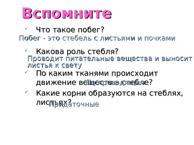 Вспомните Что такое побег? Какова роль стебля? По каким тканями происходит движение веществ в стебле? Какие корни образуются на стеблях, листьях? Побег - это стебель с листьями и почками Проводит питательные вещества и выносит листья к свету По проводящим Придаточные 