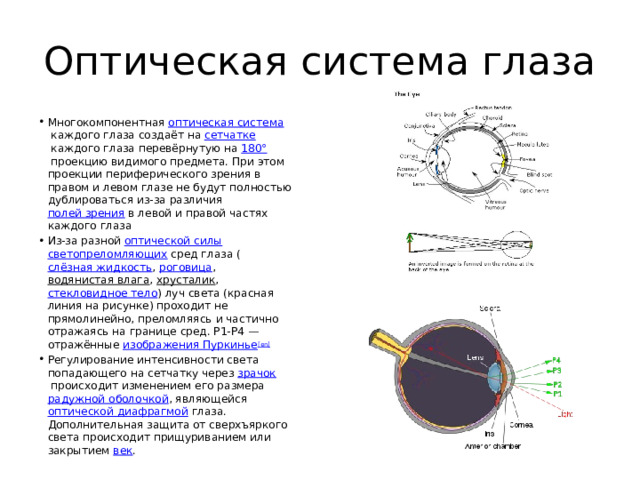 Презентация на тему "Зрение"