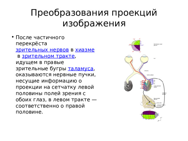 Стеллажи с товарами находящимися в нижней части зрительного поля в левом углу называются