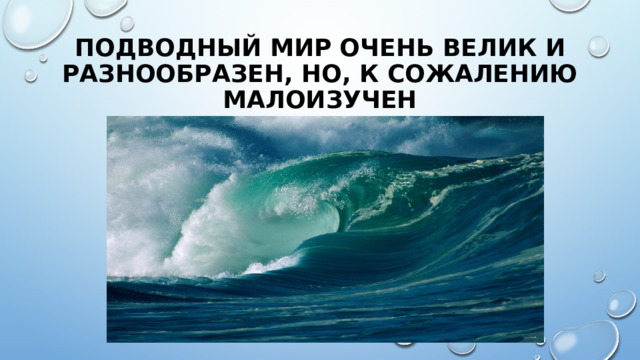 Подводный мир очень велик и разнообразен, но, к сожалению малоизучен 