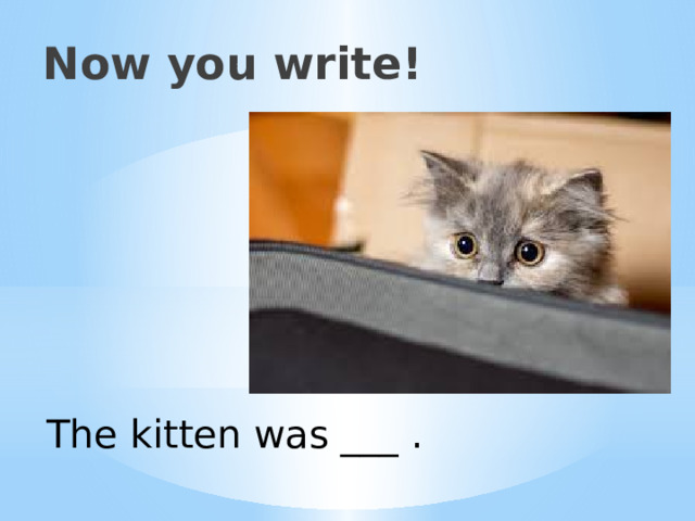 Now you write! The kitten was ___ . 