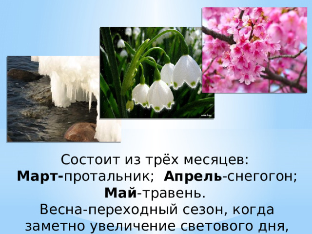 Состоит из трёх месяцев: Март- протальник;   Апрель -снегогон; Май -травень. Весна-переходный сезон, когда заметно увеличение светового дня, повышение температуры. 