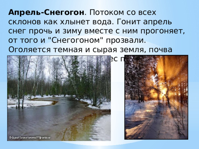 Апрель-Снегогон . Потоком со всех склонов как хлынет вода. Гонит апрель снег прочь и зиму вместе с ним прогоняет, от того и 