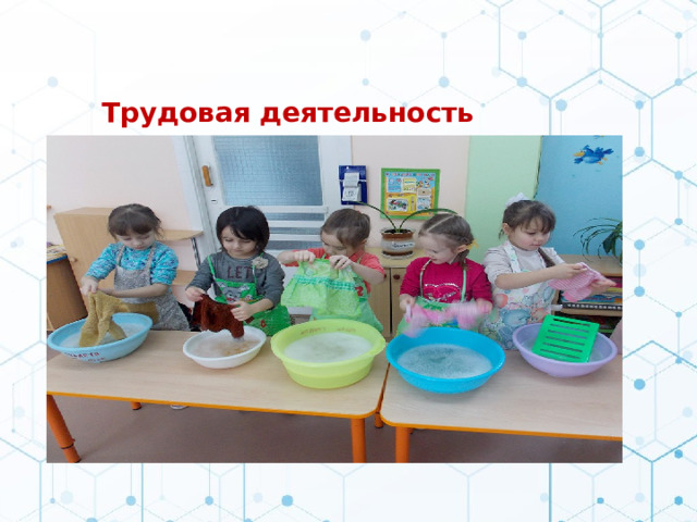 Трудовая деятельность  