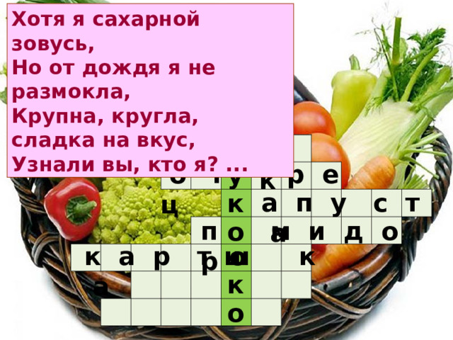 Хотя я сахарной зовусь,  Но от дождя я не размокла,  Крупна, кругла, сладка на вкус,  Узнали вы, кто я? ... у к л                                                                                                                                    о г р е ц у  а п у с т а к  п м и д о р о  к а р т о к а ш к о 