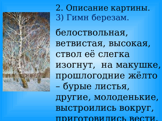 2. Описание картины. 3) Гимн березам. белоствольная, ветвистая, высокая, ствол её слегка изогнут, на макушке, прошлогодние жёлто – бурые листья, другие, молоденькие, выстроились вокруг, приготовились вести. 