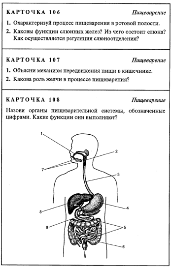 Пищеварительная система егэ рисунок