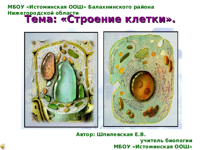 МБОУ «Истоминская ООШ» Балахнинского района Нижегородской области Тема: «Строение клетки». Автор: Шпилевская Е.В. учитель биологии МБОУ «Истоминская ООШ» 