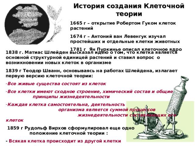 История создания Клеточной теории 1665 г – открытие Робертом Гуком клеток растений 1674 г – Антоний ван Левенгук изучал простейших и отдельные клетки животных 1781 г Ян Пуркинье описал клеточное ядро 1838 г. Матиас Шлейден высказал идею о том, что клетка является основной структурной единицей растений и ставил вопрос о возникновении новых клеток в организме 1839 г Теодор Шванн, основываясь на работах Шлейдена, излагает первую версию клеточной теории: : Все живые существа состоят из клеток Все клетки имеют сходное строение, химический состав и общие принципы жизнедеятельности Каждая клетка самостоятельна, деятельность организма является суммой процессов жизнедеятельности составляющих его клеток  1859 г Рудольф Вирхов сформулировал еще одно положение клеточной теории : - Всякая клетка происходит из другой клетки 