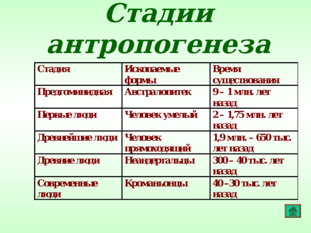 Основные стадии антропогенеза презентация 11 класс