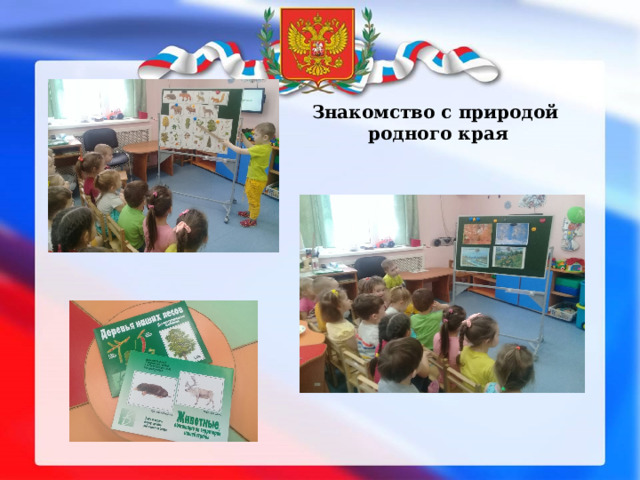 Знакомство с природой  родного края 
